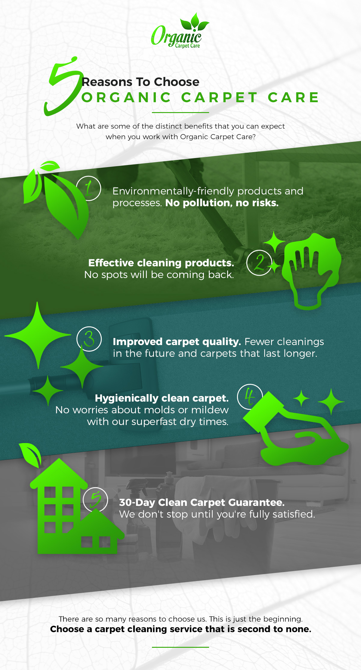 5 Reasons to Choose Organic Carpet Care infographic