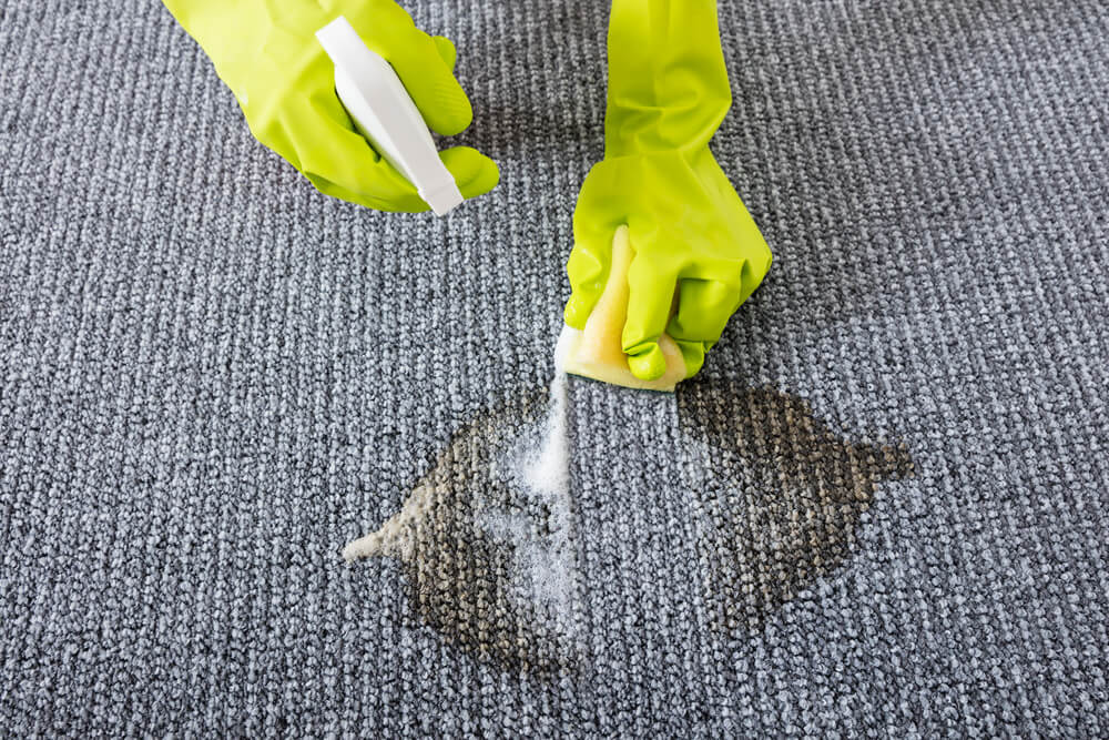 Cleaning a carpet stain by hand